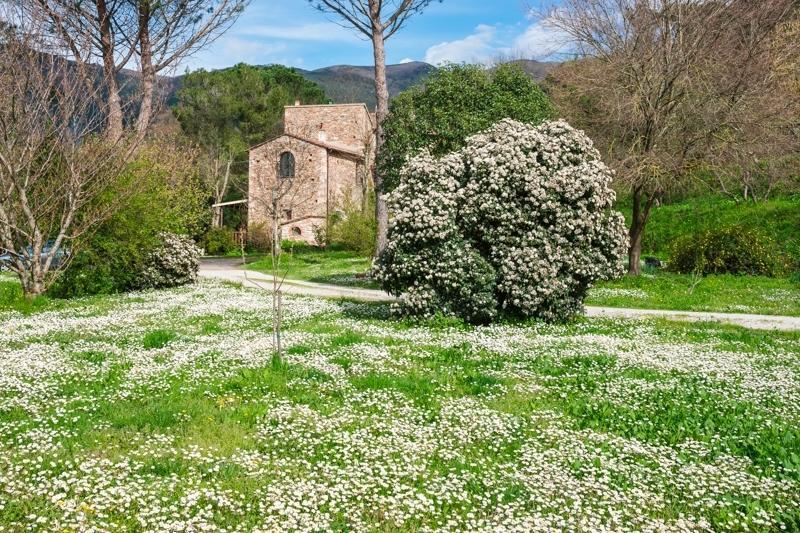 Il Molendino Pisa B&B Calci Dış mekan fotoğraf