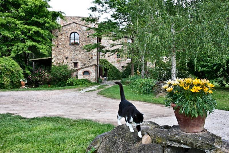 Il Molendino Pisa B&B Calci Dış mekan fotoğraf