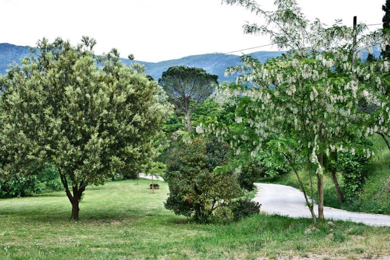 Il Molendino Pisa B&B Calci Dış mekan fotoğraf