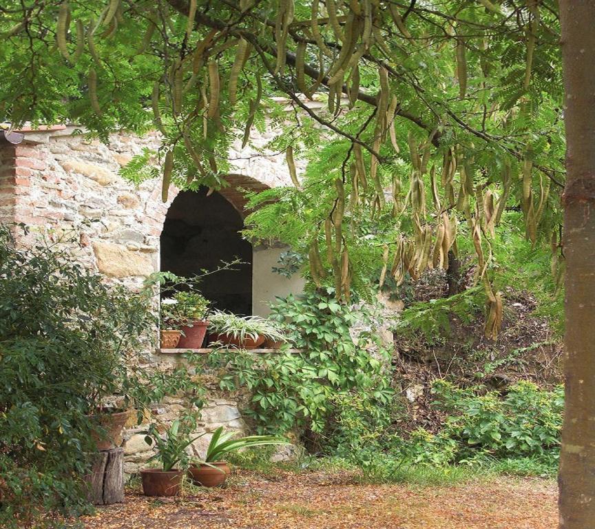 Il Molendino Pisa B&B Calci Dış mekan fotoğraf