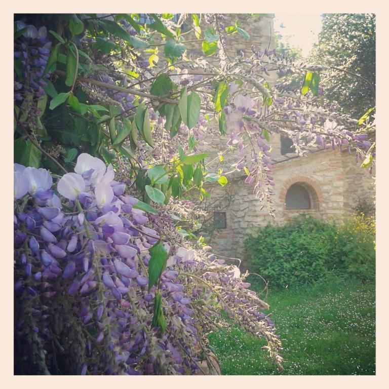 Il Molendino Pisa B&B Calci Dış mekan fotoğraf