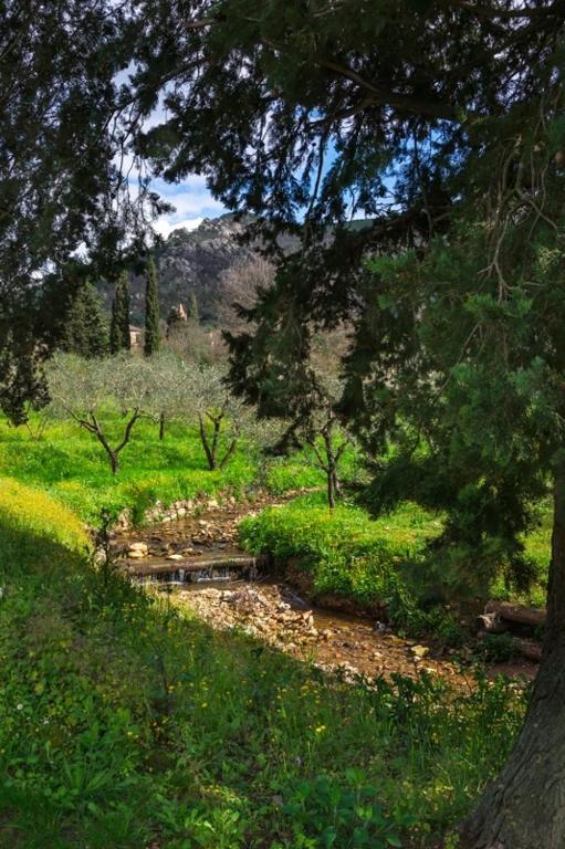 Il Molendino Pisa B&B Calci Dış mekan fotoğraf